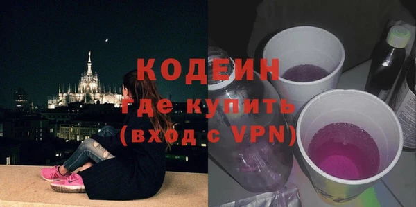 дурь Алексин