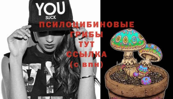 амф Абдулино