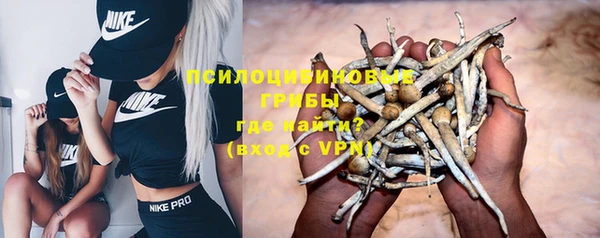 мяу мяу мука Алексеевка