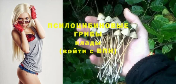 дурь Алексин