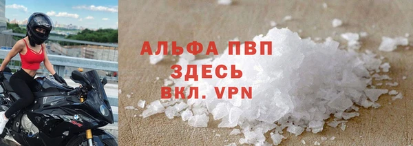 ГАЛЛЮЦИНОГЕННЫЕ ГРИБЫ Туринск